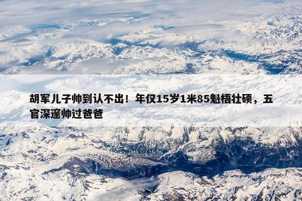 胡军儿子帅到认不出！年仅15岁1米85魁梧壮硕，五官深邃帅过爸爸