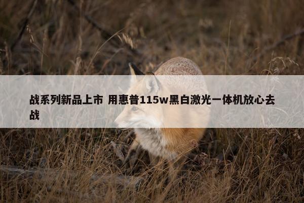 战系列新品上市 用惠普115w黑白激光一体机放心去战