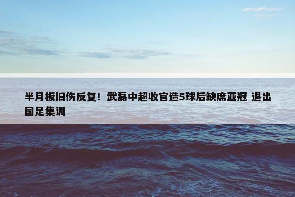 半月板旧伤反复！武磊中超收官造5球后缺席亚冠 退出国足集训