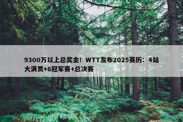 9300万以上总奖金！WTT发布2025赛历：4站大满贯+6冠军赛+总决赛