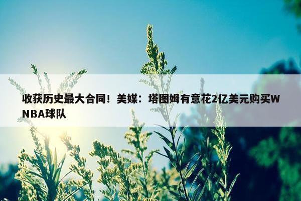 收获历史最大合同！美媒：塔图姆有意花2亿美元购买WNBA球队