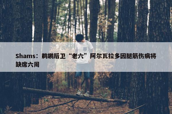 Shams：鹈鹕后卫“老六”阿尔瓦拉多因腿筋伤病将缺席六周