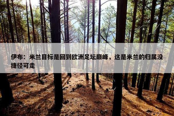 伊布：米兰目标是回到欧洲足坛巅峰，这是米兰的归属没捷径可走