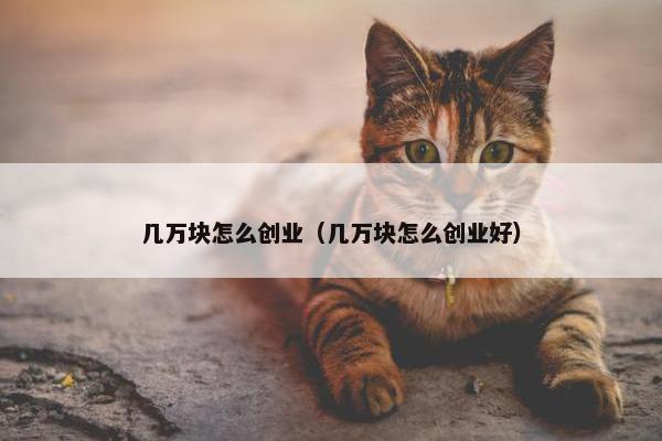 几万块怎么创业（几万块怎么创业好）