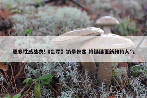 更多性感战衣!《剑星》销量稳定 将继续更新维持人气