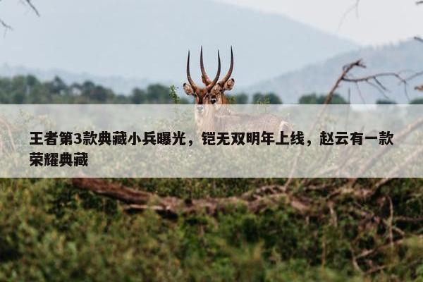 王者第3款典藏小兵曝光，铠无双明年上线，赵云有一款荣耀典藏