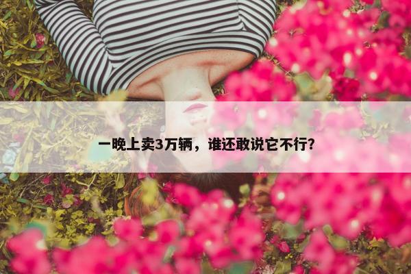 一晚上卖3万辆，谁还敢说它不行？