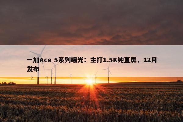 一加Ace 5系列曝光：主打1.5K纯直屏，12月发布