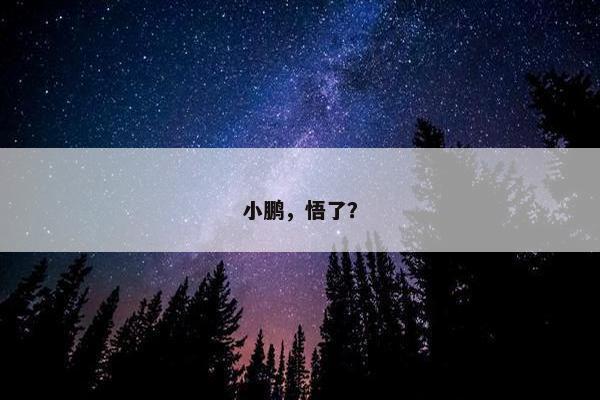 小鹏，悟了？