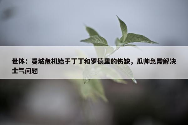 世体：曼城危机始于丁丁和罗德里的伤缺，瓜帅急需解决士气问题