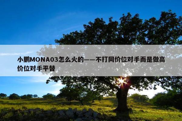 小鹏MONA03怎么火的——不打同价位对手而是做高价位对手平替