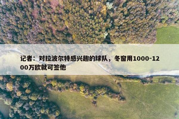 记者：对拉波尔特感兴趣的球队，冬窗用1000-1200万欧就可签他