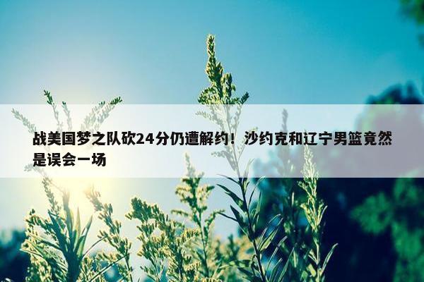 战美国梦之队砍24分仍遭解约！沙约克和辽宁男篮竟然是误会一场