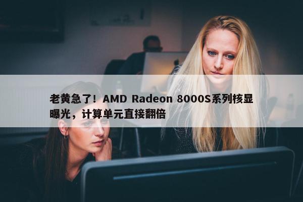 老黄急了！AMD Radeon 8000S系列核显曝光，计算单元直接翻倍