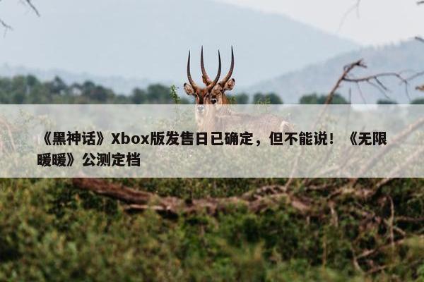 《黑神话》Xbox版发售日已确定，但不能说！《无限暖暖》公测定档