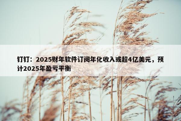 钉钉：2025财年软件订阅年化收入或超4亿美元，预计2025年盈亏平衡