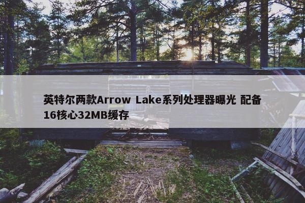 英特尔两款Arrow Lake系列处理器曝光 配备16核心32MB缓存