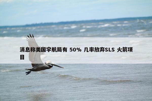 消息称美国宇航局有 50% 几率放弃SLS 火箭项目