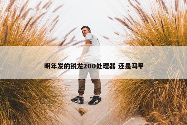 明年发的锐龙200处理器 还是马甲