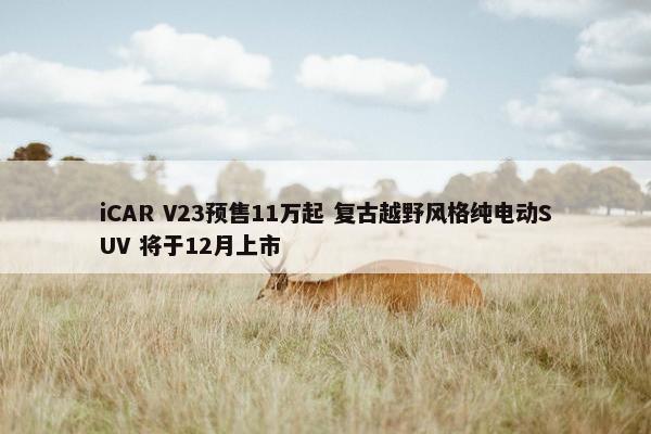 iCAR V23预售11万起 复古越野风格纯电动SUV 将于12月上市