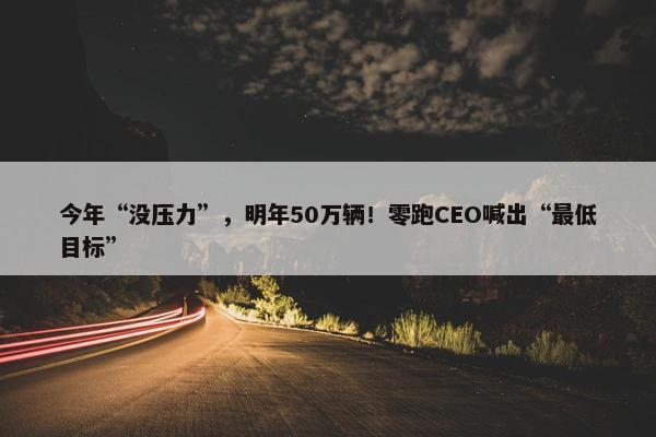 今年“没压力”，明年50万辆！零跑CEO喊出“最低目标”