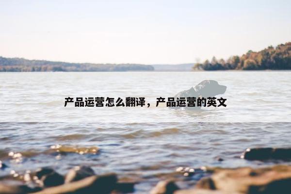 产品运营怎么翻译，产品运营的英文