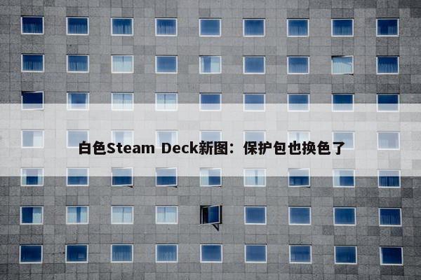 白色Steam Deck新图：保护包也换色了