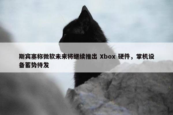 斯宾塞称微软未来将继续推出 Xbox 硬件，掌机设备蓄势待发