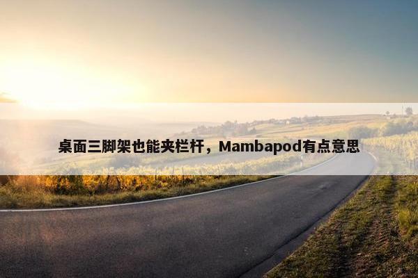 桌面三脚架也能夹栏杆，Mambapod有点意思