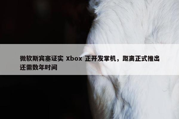 微软斯宾塞证实 Xbox 正开发掌机，距离正式推出还需数年时间