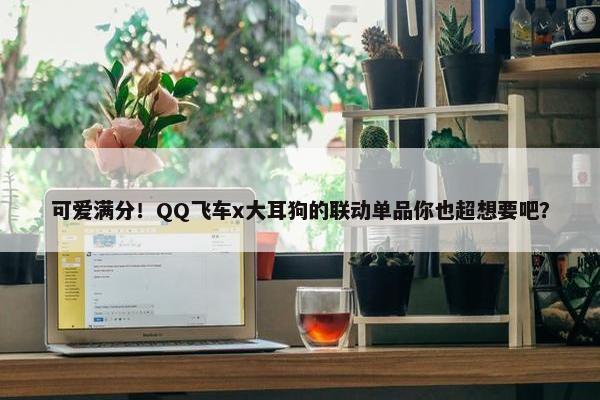 可爱满分！QQ飞车x大耳狗的联动单品你也超想要吧？