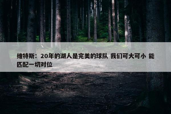 维特斯：20年的湖人是完美的球队 我们可大可小 能匹配一切对位