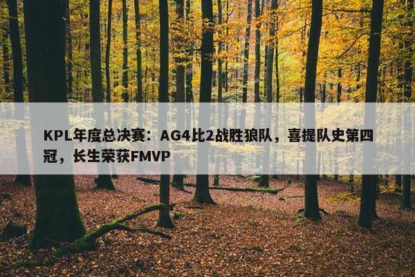 KPL年度总决赛：AG4比2战胜狼队，喜提队史第四冠，长生荣获FMVP