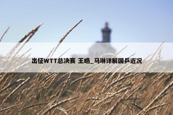 出征WTT总决赛 王皓_马琳详解国乒近况