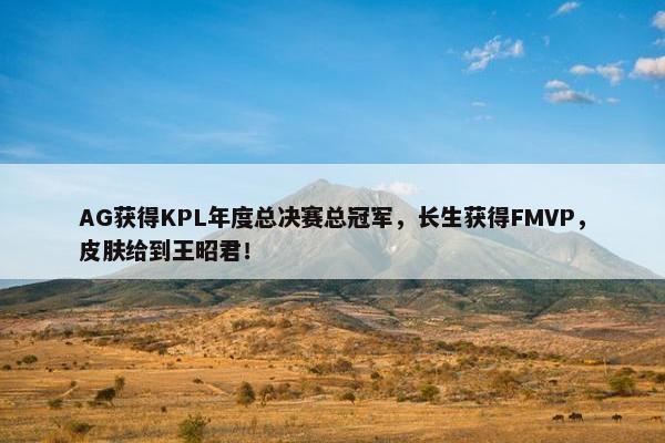 AG获得KPL年度总决赛总冠军，长生获得FMVP，皮肤给到王昭君！