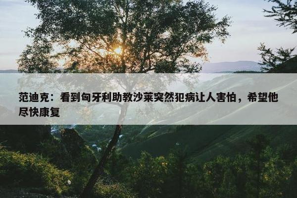 范迪克：看到匈牙利助教沙莱突然犯病让人害怕，希望他尽快康复