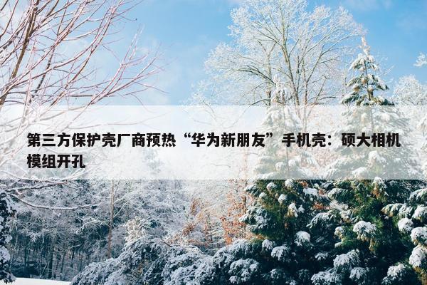 第三方保护壳厂商预热“华为新朋友”手机壳：硕大相机模组开孔