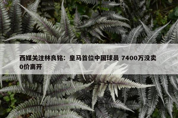 西媒关注林良铭：皇马首位中国球员 7400万没卖 0价离开