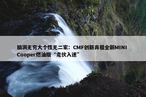 脑洞无穷大个性无二家：CMF创新鼻祖全新MINI Cooper燃油版“走伙入迷”