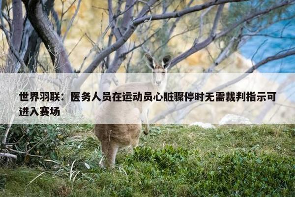 世界羽联：医务人员在运动员心脏骤停时无需裁判指示可进入赛场