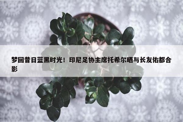 梦回昔日蓝黑时光！印尼足协主席托希尔晒与长友佑都合影