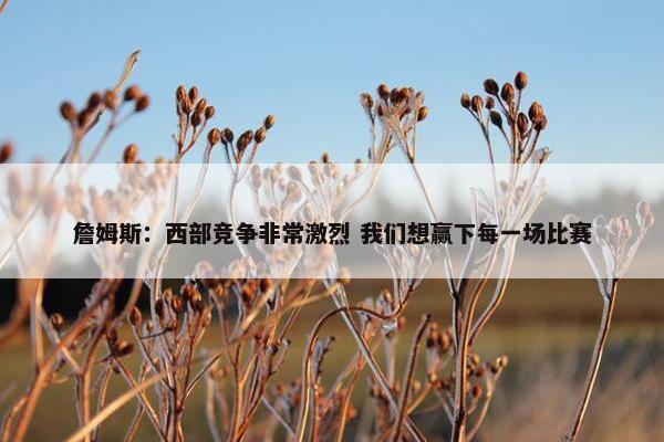 詹姆斯：西部竞争非常激烈 我们想赢下每一场比赛