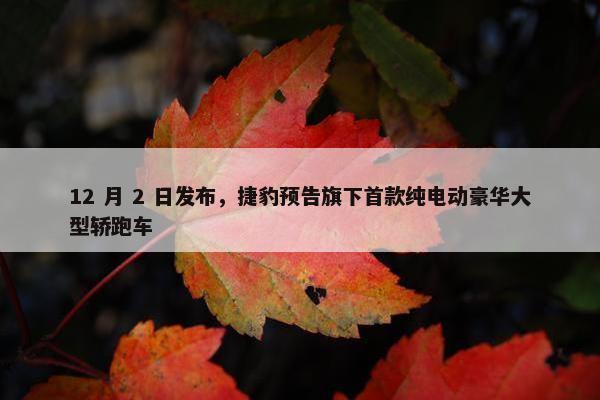 12 月 2 日发布，捷豹预告旗下首款纯电动豪华大型轿跑车