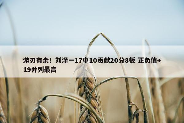 游刃有余！刘泽一17中10贡献20分8板 正负值+19并列最高