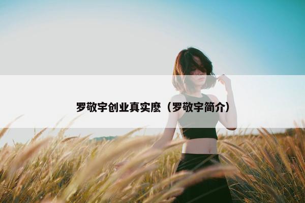 罗敬宇创业真实麽（罗敬宇简介）