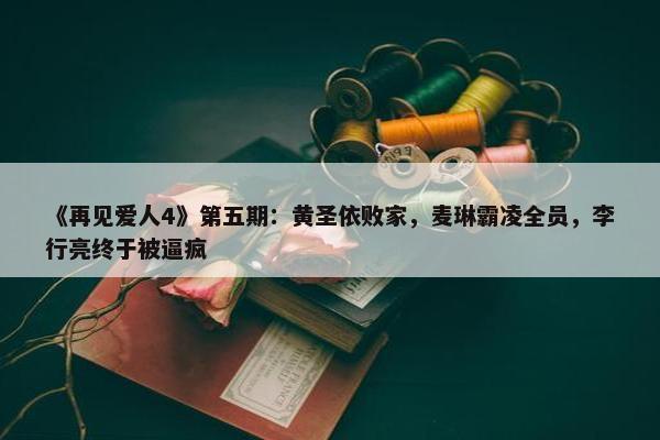 《再见爱人4》第五期：黄圣依败家，麦琳霸凌全员，李行亮终于被逼疯