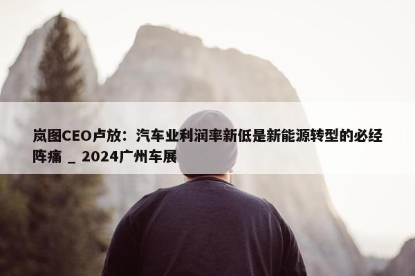 岚图CEO卢放：汽车业利润率新低是新能源转型的必经阵痛 _ 2024广州车展