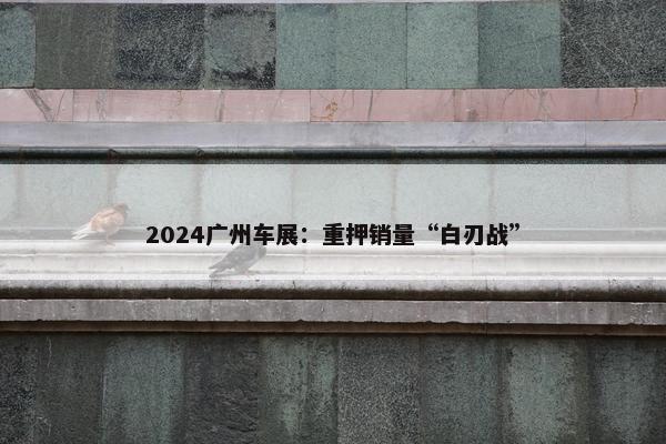 2024广州车展：重押销量“白刃战”