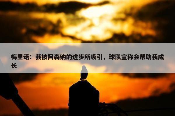 梅里诺：我被阿森纳的进步所吸引，球队宣称会帮助我成长