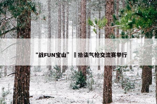 “战FUN宝山”極拾柒气枪交流赛举行